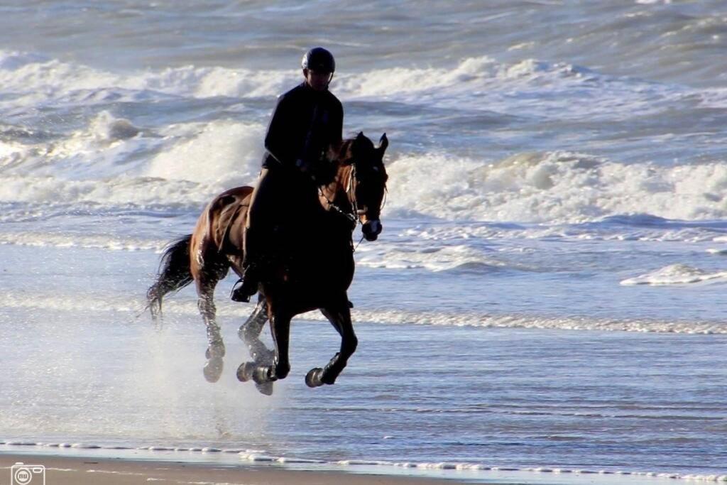 Beachtime Close To The Beach, City Centre Zandvoort Εξωτερικό φωτογραφία
